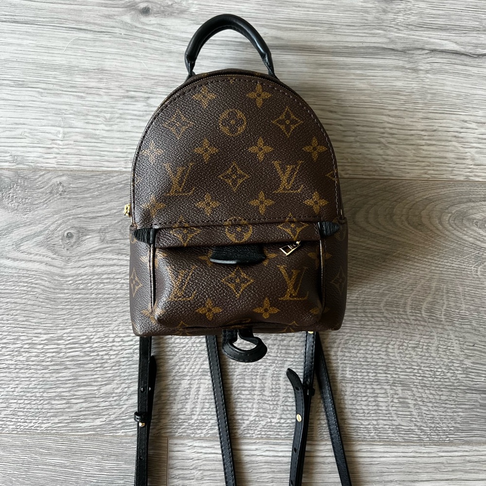 AUTHENTIC Louis Vuitton mini Palm Springs backpack